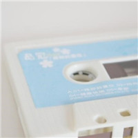 数字丛林的幽灵